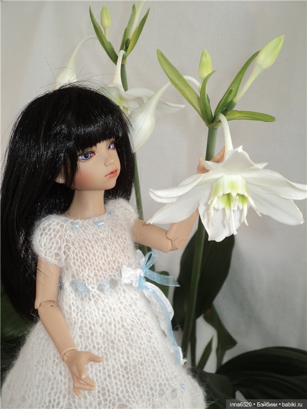 Моя Женевьева. Джои от Iplehouse. (35см) (фото 4)