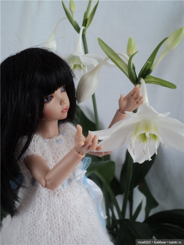 Моя Женевьева. Джои от Iplehouse. (35см)