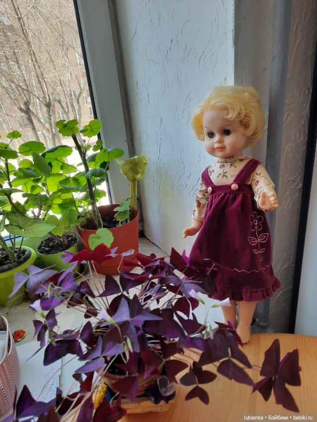 И ещё,ЕЩЁ одна Сонька😍 — Коллекции винтажных кукол и игрушек: СССР