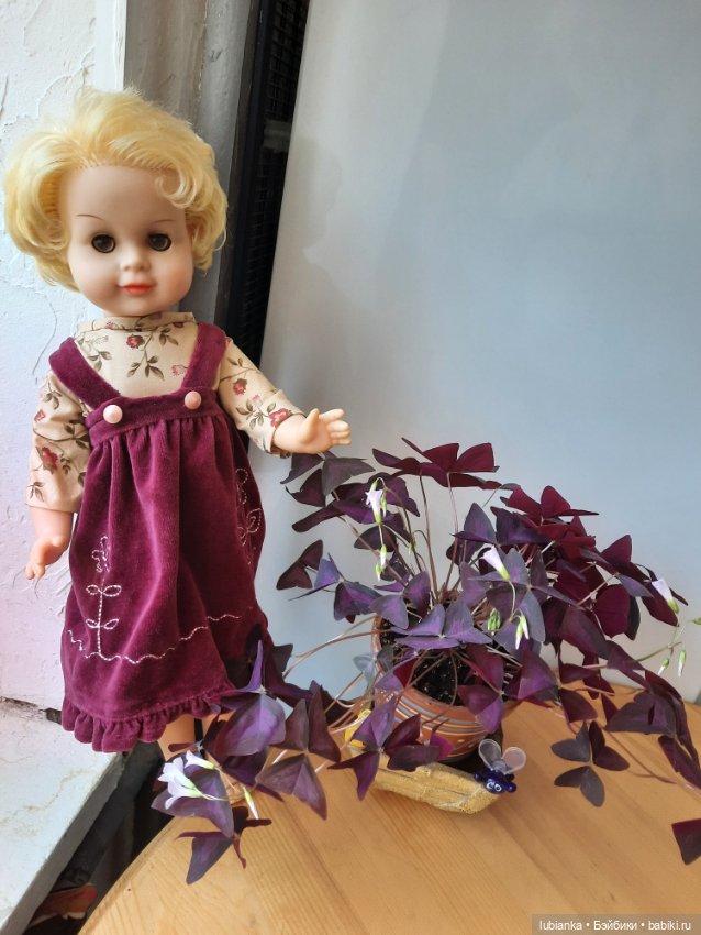 И ещё,ЕЩЁ одна Сонька😍 — Коллекции винтажных кукол и игрушек: СССР