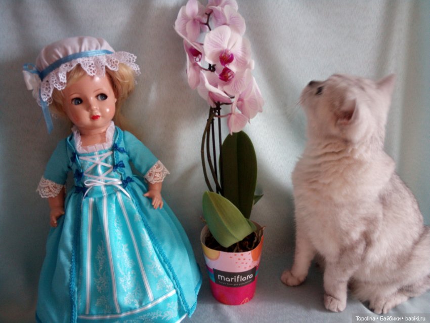 Ecco qui la mia Susanna — Винтажные куклы ГДР (Немки): Бигги (фото 3)