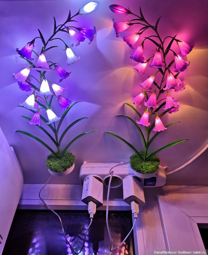Новый сорт колокольчиков, с USB корнями