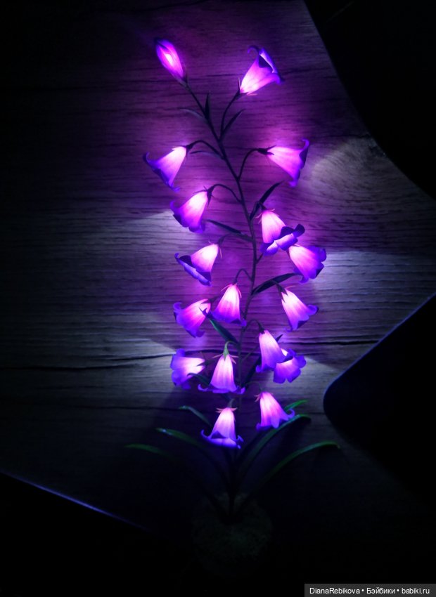 Новый сорт колокольчиков, с USB корнями (фото 8)