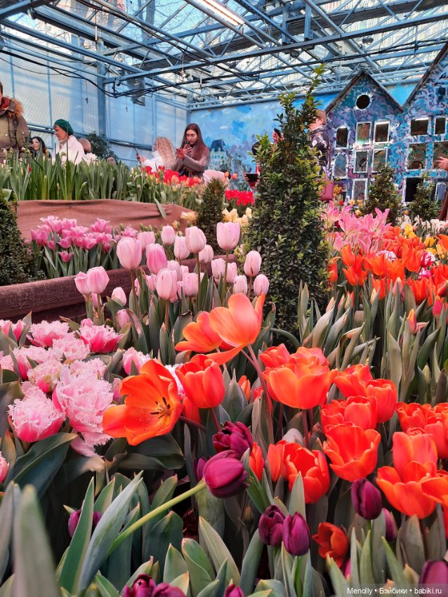 Репетиция весны — Культура (фото 8)