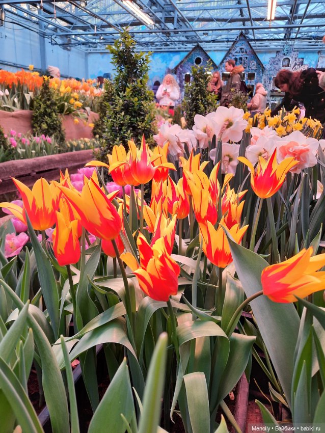 Репетиция весны — Культура (фото 6)