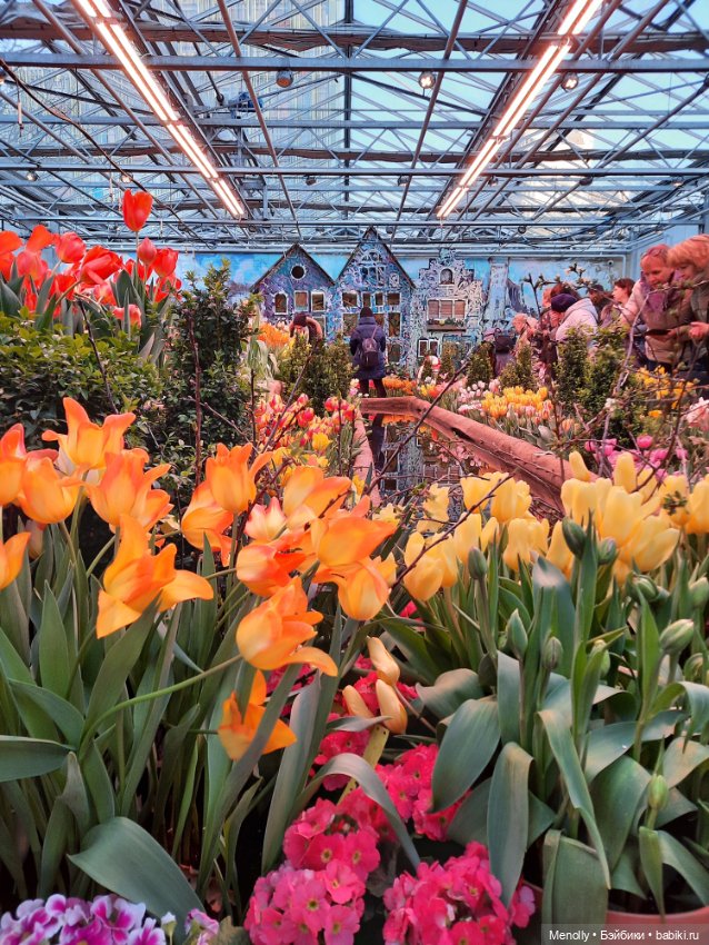 Репетиция весны — Культура (фото 5)