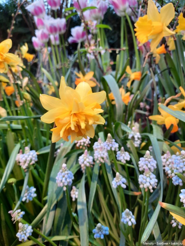 Репетиция весны — Культура (фото 7)