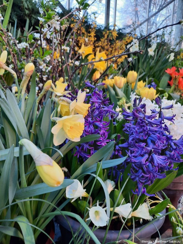 Репетиция весны — Культура