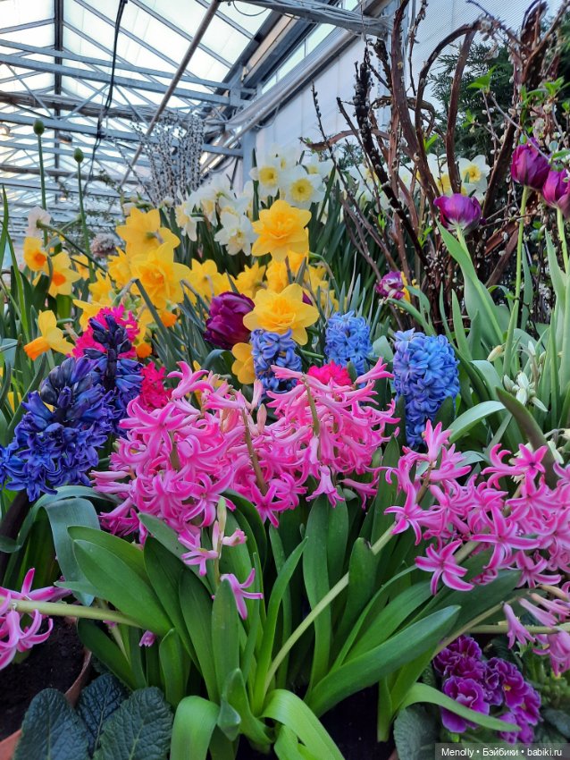 Репетиция весны — Культура