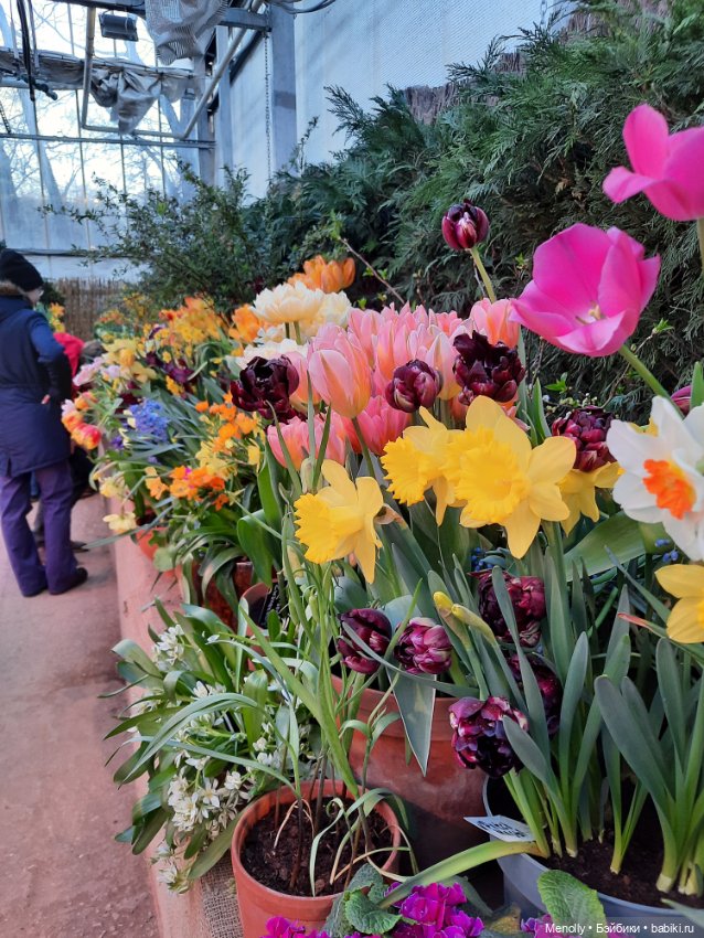 Репетиция весны — Культура