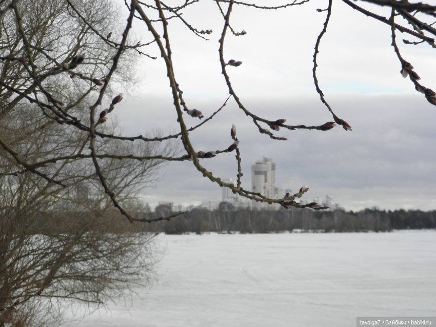 Маршрут февраль-март — Российские куклы Весна (фото 2)