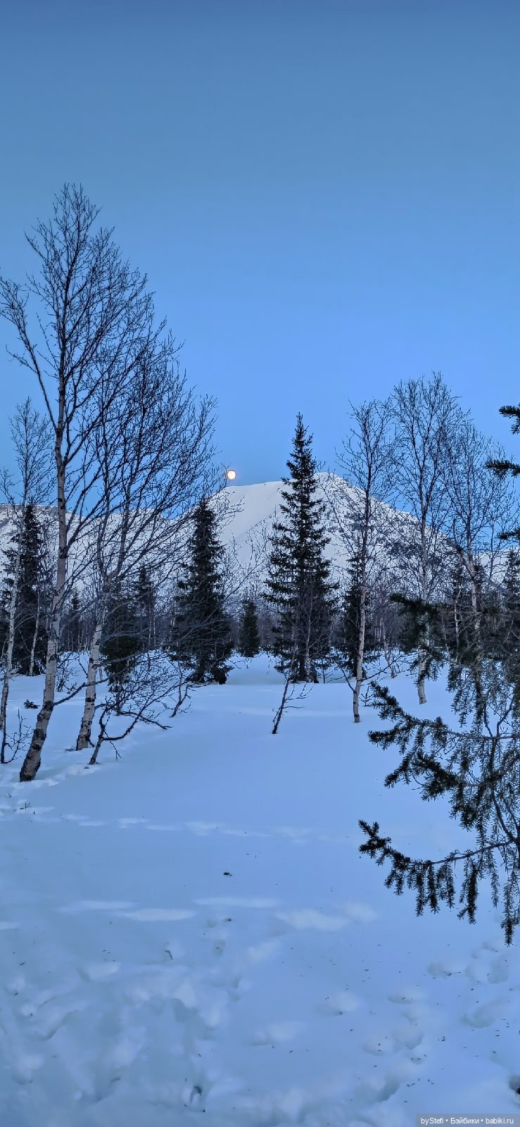 Приглашаю на прогулку))) Заполярье) 17 марта 2022