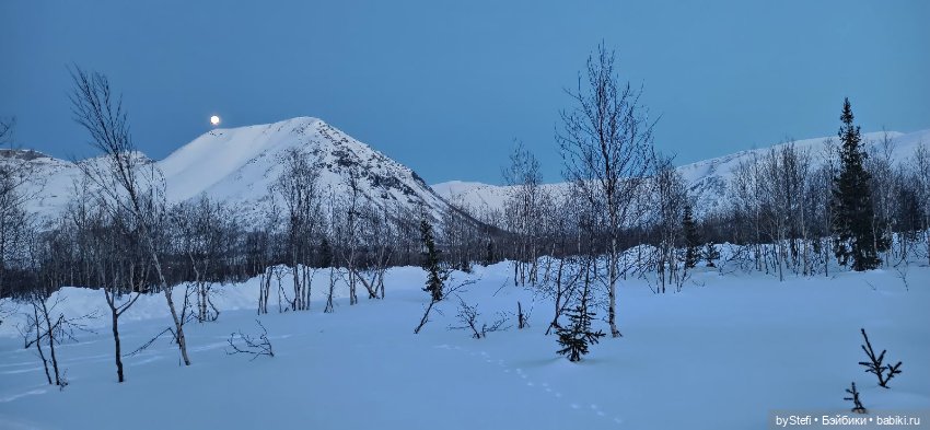 Приглашаю на прогулку))) Заполярье) 17 марта 2022