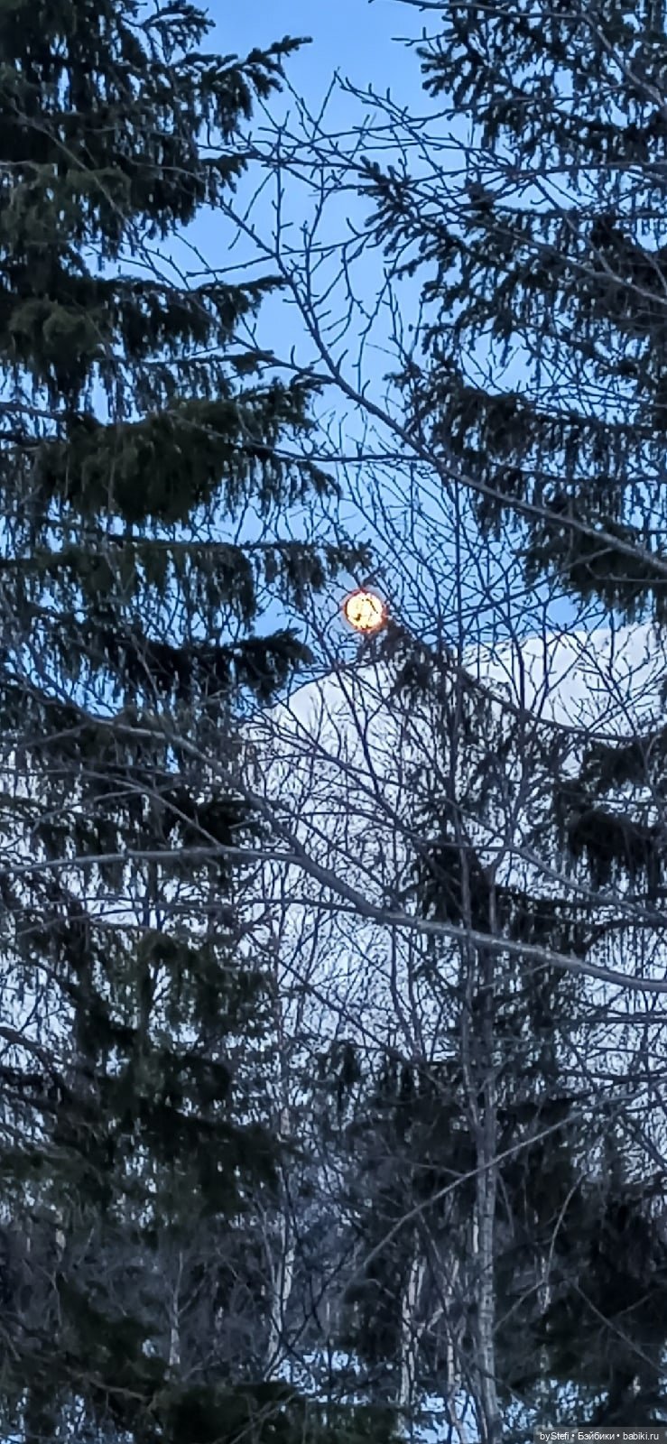 Приглашаю на прогулку))) Заполярье) 17 марта 2022