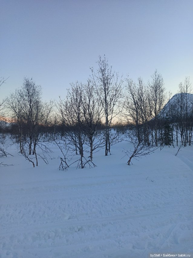 Приглашаю на прогулку))) Заполярье) 17 марта 2022 (фото 7)