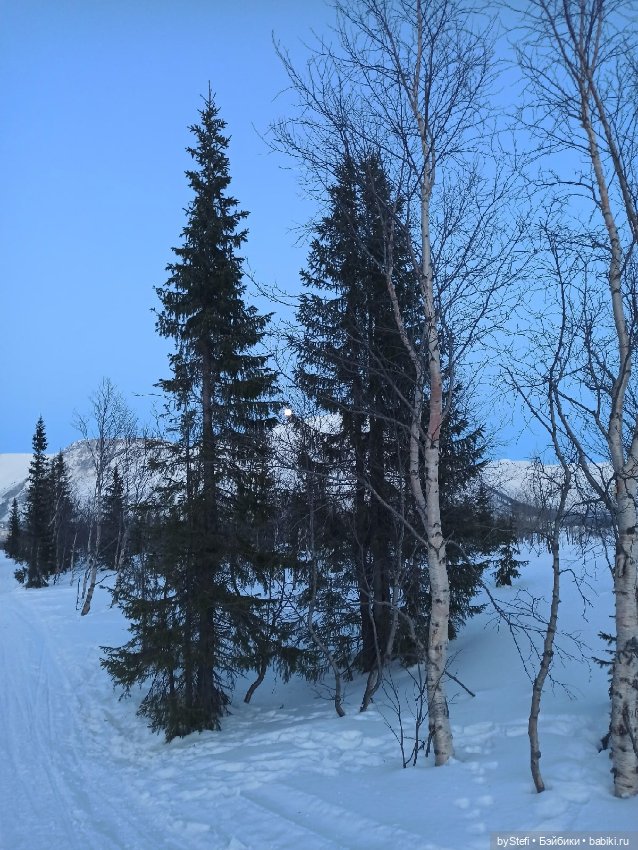 Приглашаю на прогулку))) Заполярье) 17 марта 2022