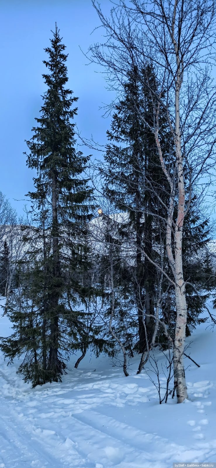 Приглашаю на прогулку))) Заполярье) 17 марта 2022