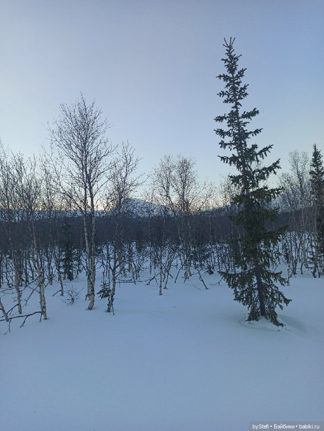 Приглашаю на прогулку))) Заполярье) 17 марта 2022 (фото 8)