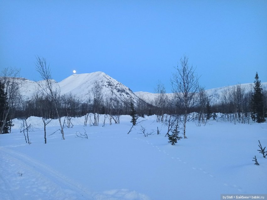 Приглашаю на прогулку))) Заполярье) 17 марта 2022