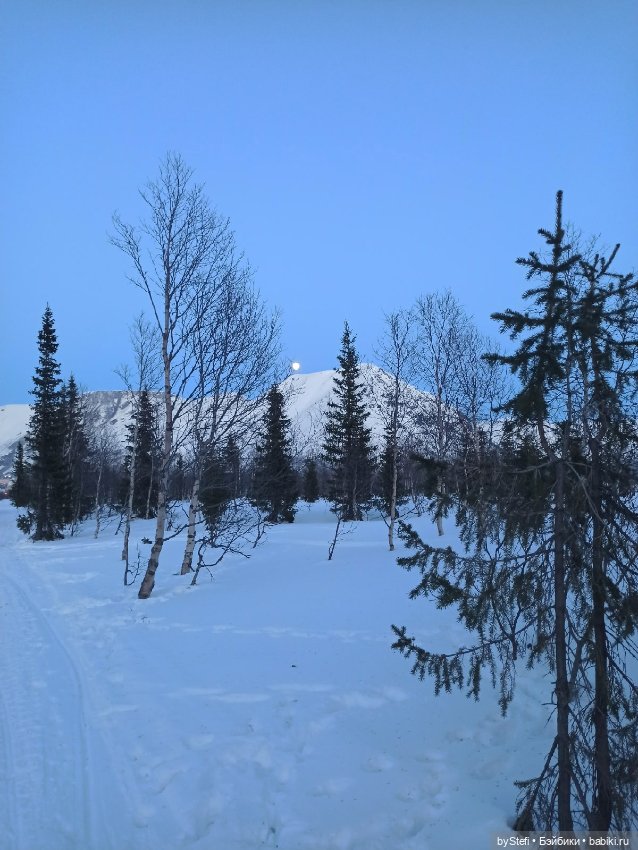 Приглашаю на прогулку))) Заполярье) 17 марта 2022