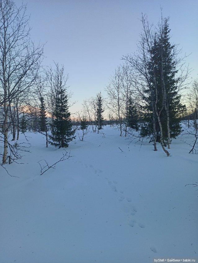 Приглашаю на прогулку))) Заполярье) 17 марта 2022 (фото 10)