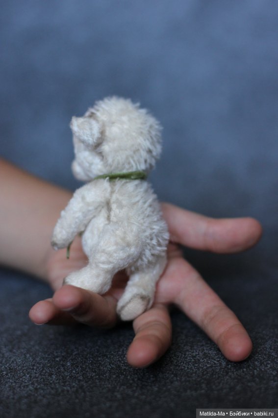 История создания ежика-альбиноса Снежка (фото 3)