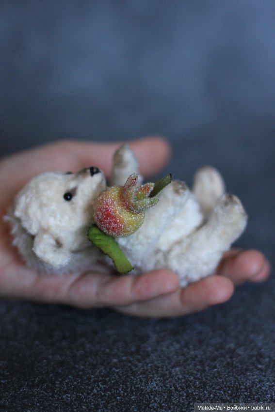 История создания ежика-альбиноса Снежка (фото 6)