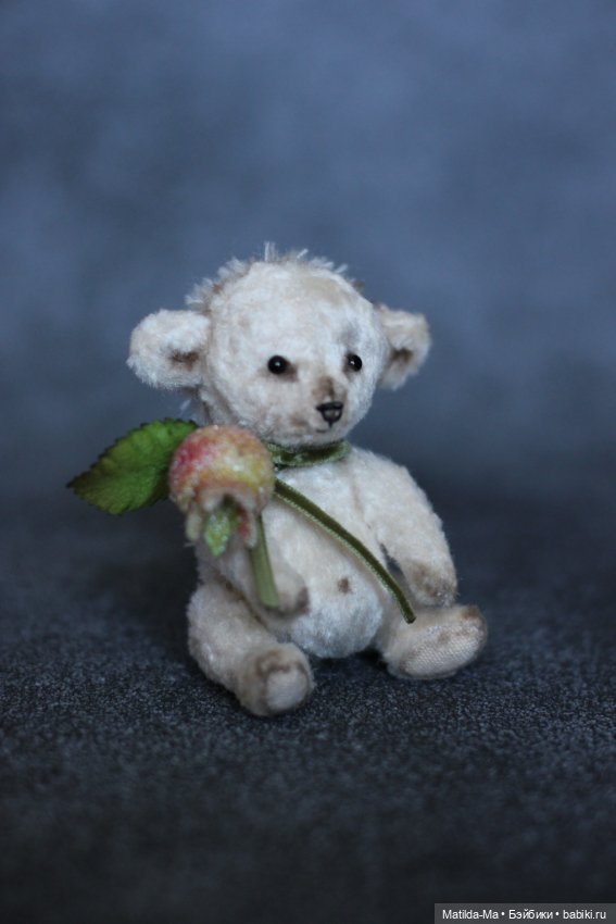 История создания ежика-альбиноса Снежка (фото 2)