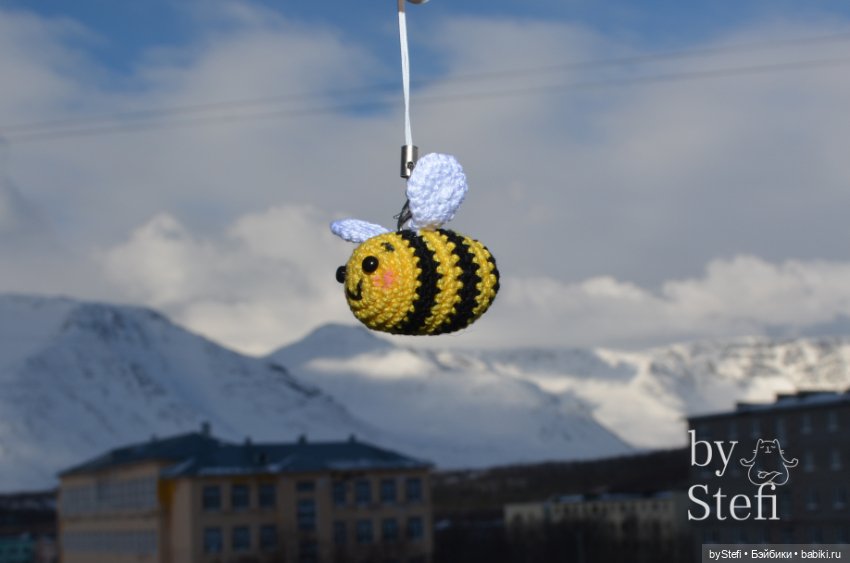 Шмель Федя. Брелок + несколько фотографий нашего города (фото 5)