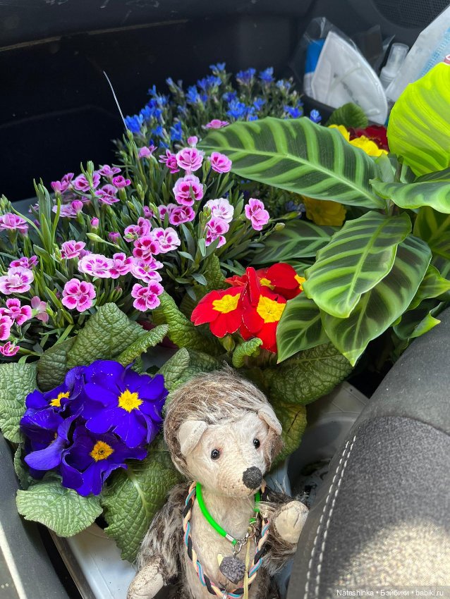 Fashion Dolls 334 — Туризм и путешествия: фотоотчеты из поездок (фото 4)