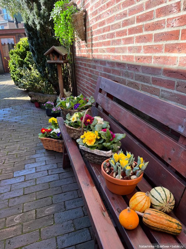 Fashion Dolls 334 — Туризм и путешествия: фотоотчеты из поездок