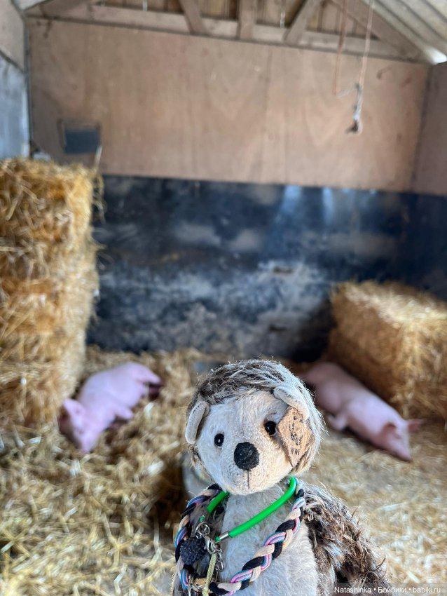 Fashion Dolls 334 — Туризм и путешествия: фотоотчеты из поездок