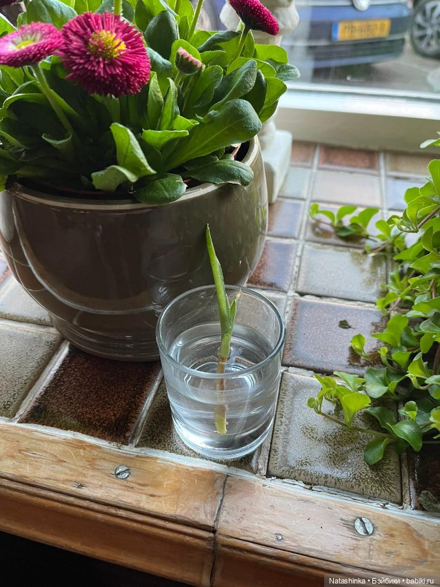 Fashion Dolls 334 — Туризм и путешествия: фотоотчеты из поездок