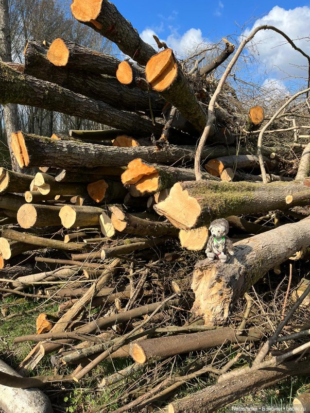 Fashion Dolls 334 — Туризм и путешествия: фотоотчеты из поездок (фото 3)