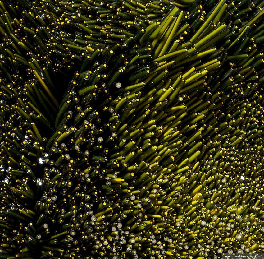 Стеклянные шедевры Шайны Лейб (фото 6)