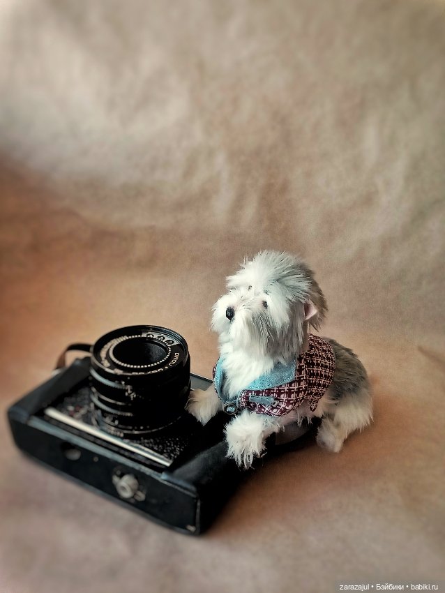 Маленький Лорд — Авторские мишки Тедди и друзья: фото (фото 2)