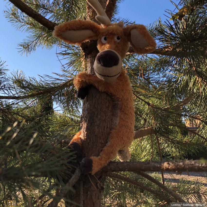 С днём кукольника — Винтажные куклы ГДР (Немки): Бигги