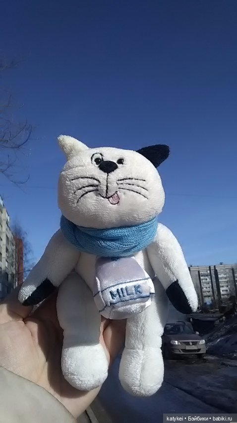 Силк любит милк. И гулять (фото 7)