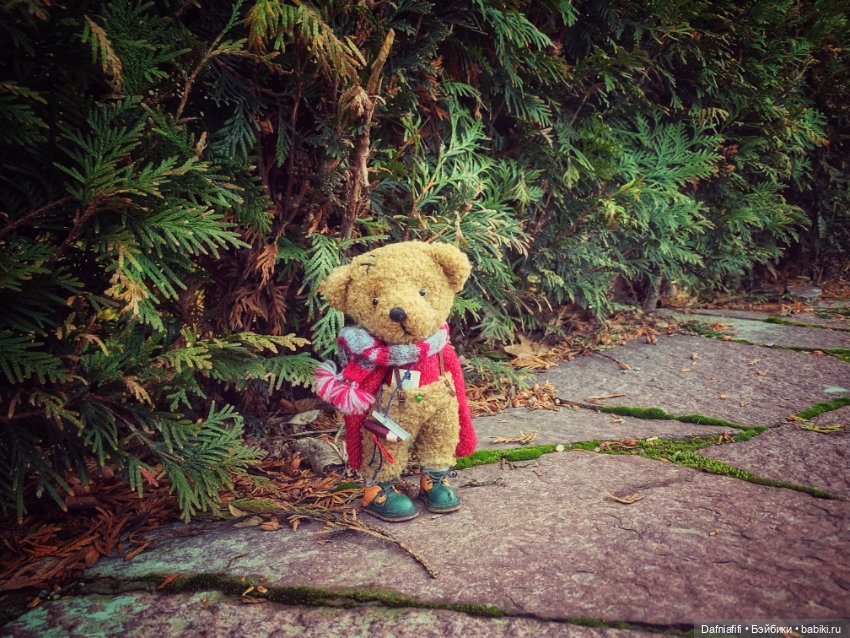 Игип-любить нельзя выкинуть