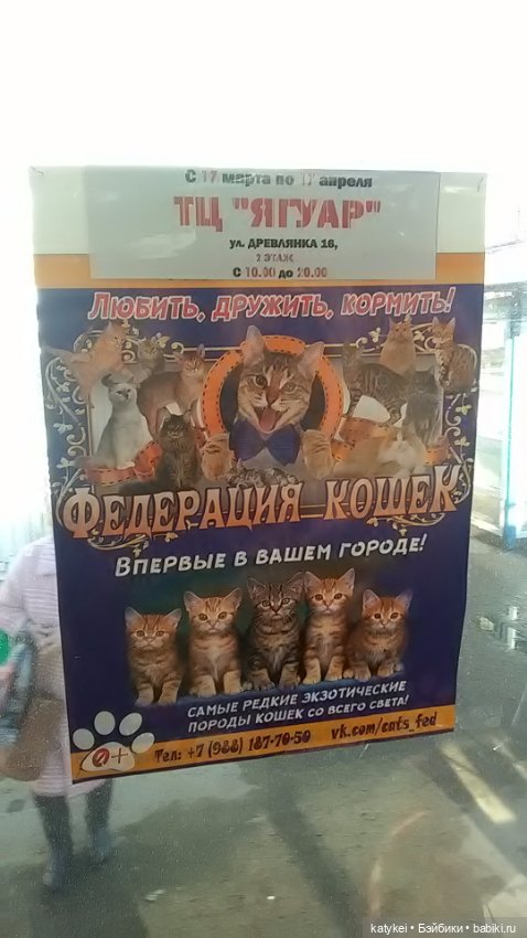 Силк любит милк. И гулять (фото 9)