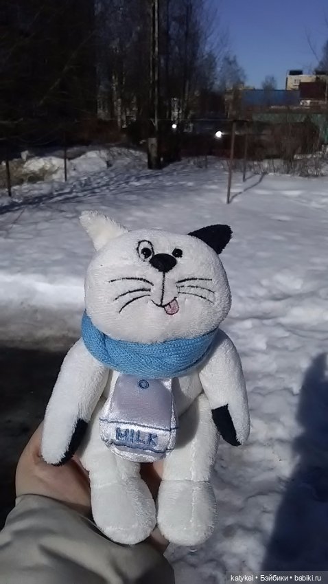 Силк любит милк. И гулять