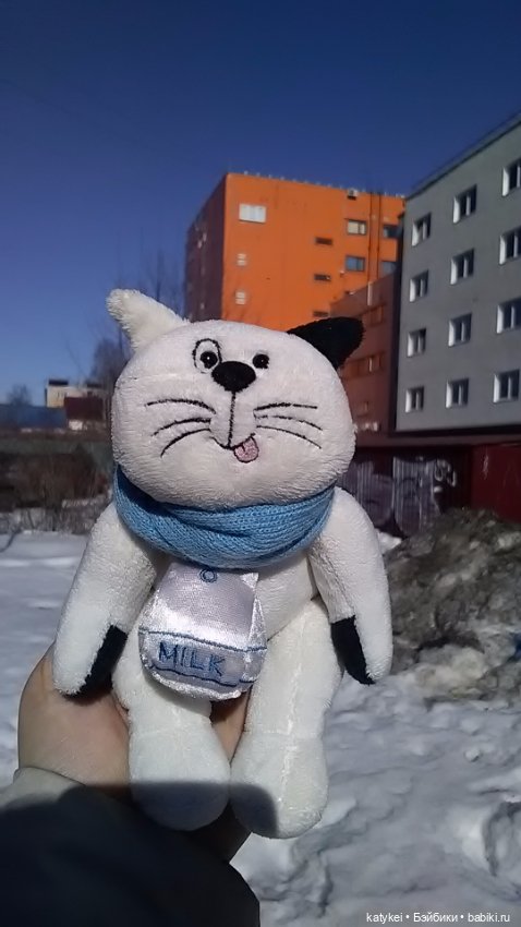 Силк любит милк. И гулять