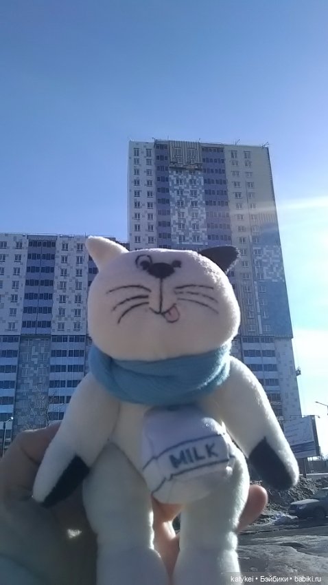 Силк любит милк. И гулять (фото 5)