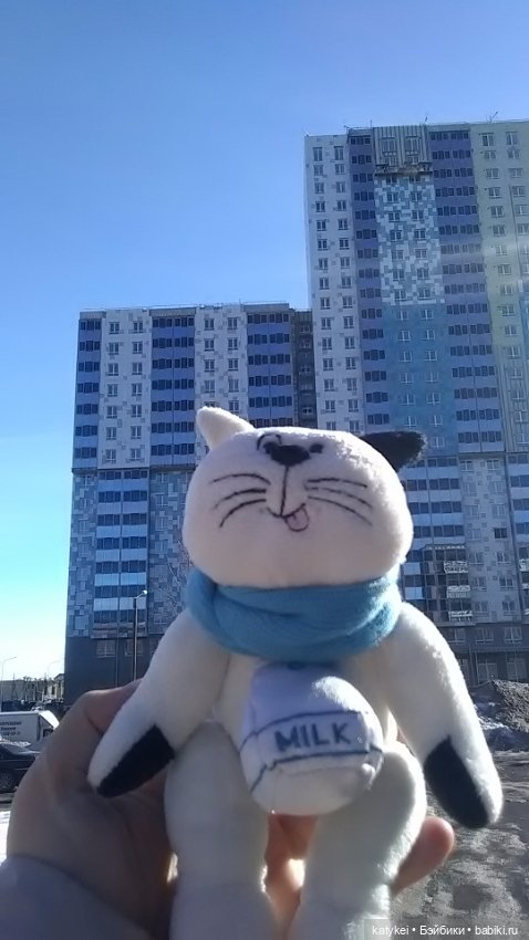 Силк любит милк. И гулять (фото 4)