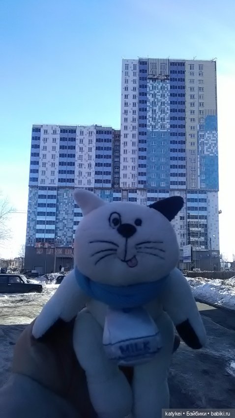 Силк любит милк. И гулять (фото 3)