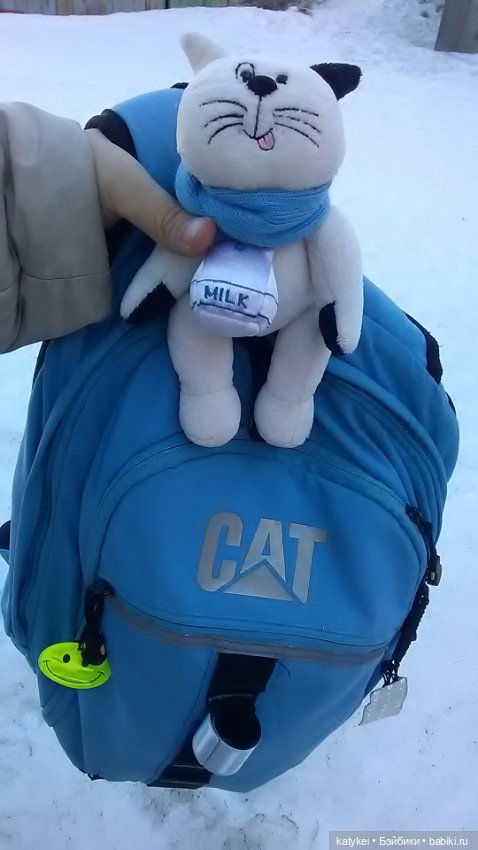 Силк любит милк. И гулять (фото 10)