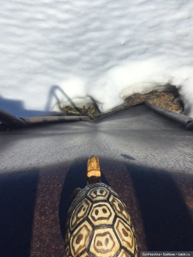 Наш черепах Биг Тейсти — Коллекционные экшн