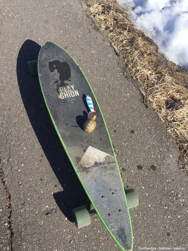 Наш черепах Биг Тейсти — Коллекционные экшн (фото 10)