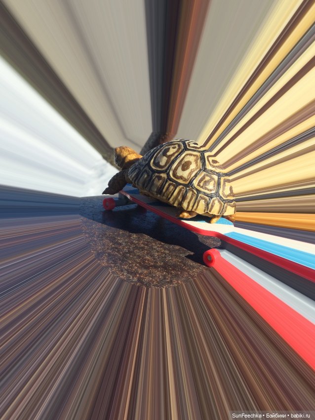 Наш черепах Биг Тейсти — Коллекционные экшн