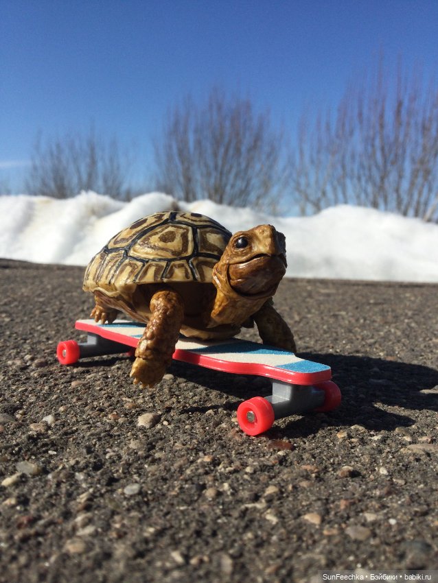 Наш черепах Биг Тейсти — Коллекционные экшн